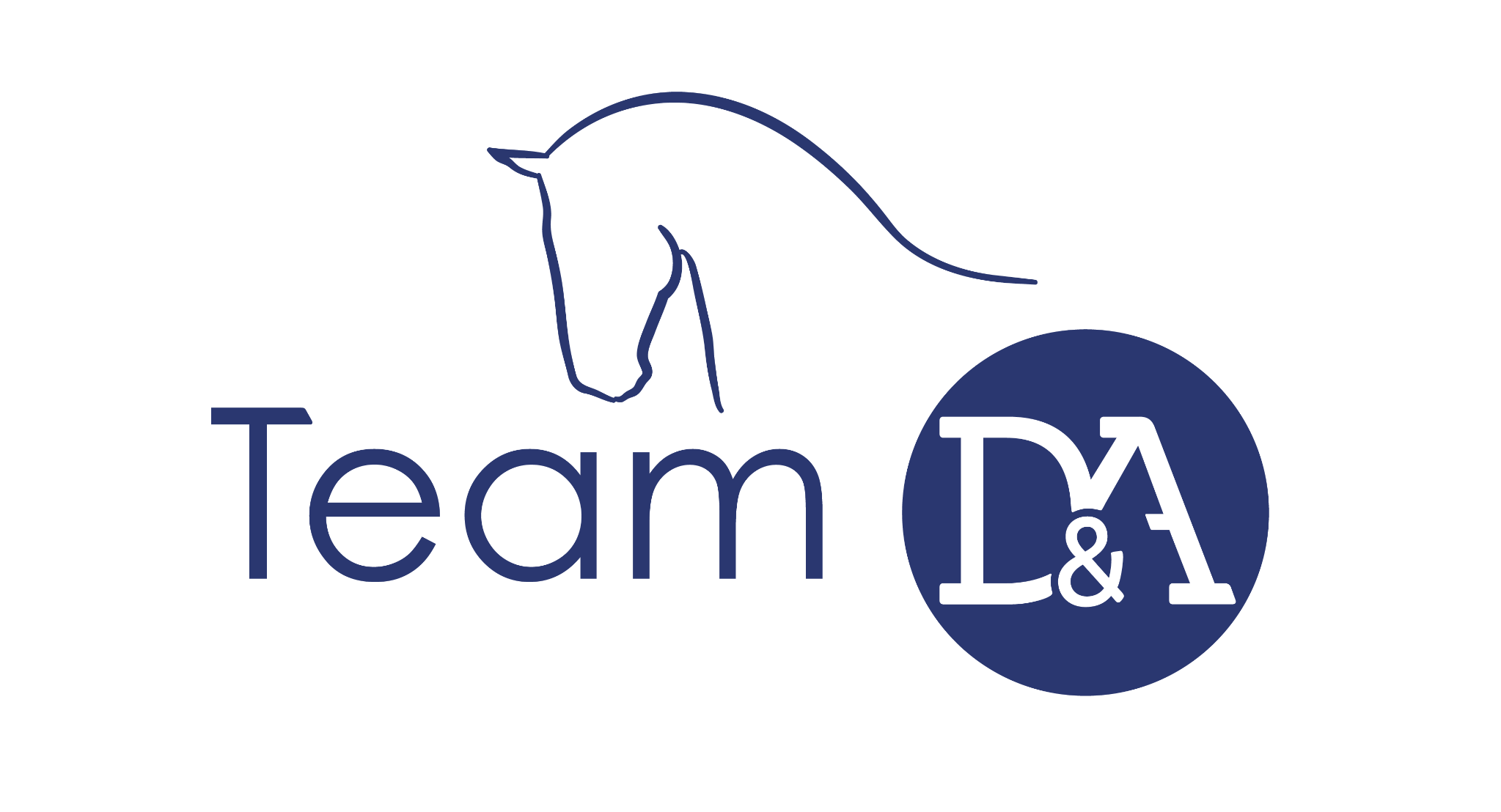 Logo Team D&A